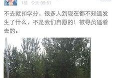 河北美院爆料视频最新消息,揭秘校园内幕，视频揭露惊人真相