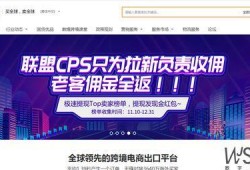 天涯爆料西港新闻网,揭秘西港新闻网背后的真相