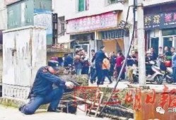 杞县当地人爆料事件视频,真相背后引人深思