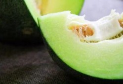 海伦斯瓜免费吃,畅享夏日甜蜜时光