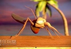 爆料大蚊子的视频大全,视频大全带你领略神秘生物世界