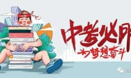 第五大道爆料最新消息视频,最新爆料视频深度解析