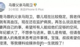 马蓉爆料新闻最新消息,揭秘王宝强婚姻内幕，惊人真相曝光！