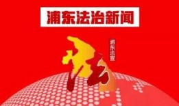 浦东干部爆料新闻,揭秘新闻背后的真相