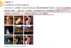 某男艺人爆料视频大全最新,某男艺人爆料视频大全深度解析