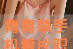 青青草观看在线观看,在线观看，感受青春的绿意盎然