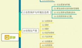 雪莲冰块爆料视频大全集,揭秘幕后真相与精彩瞬间