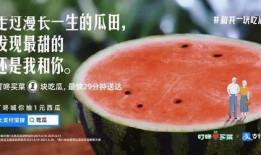 瓜田娱乐吃瓜,揭秘娱乐圈那些鲜为人知的“吃瓜”故事
