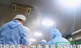 配餐爆料视频大全,视频大全背后的美食秘密