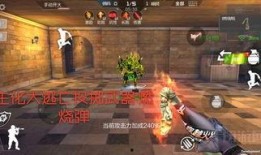cf手游体验服最新爆料王者轮回,体验服新爆料揭示神秘轮回机制