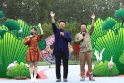 雪境幻影爆料视频大全最新,揭秘神秘幻境背后的奇幻世界